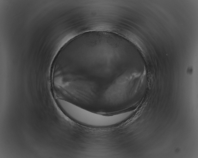 X0000095551087200801041326