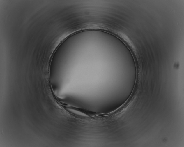 X0000095551089200801041326