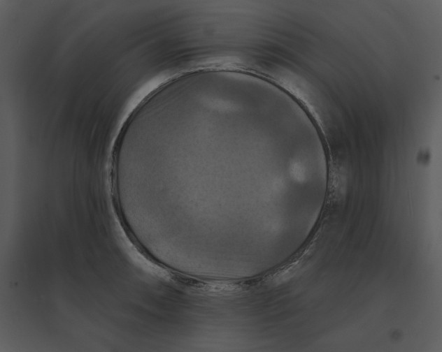 X0000095551090200801041326