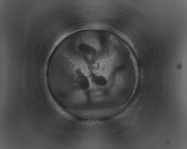 X0000095551091200801041326