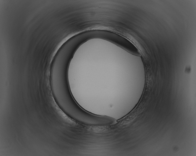 X0000095551092200801041326