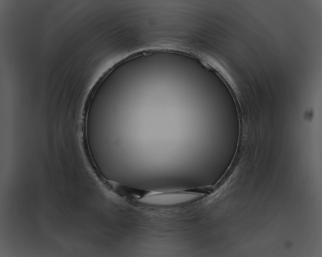 X0000095551093200801041326