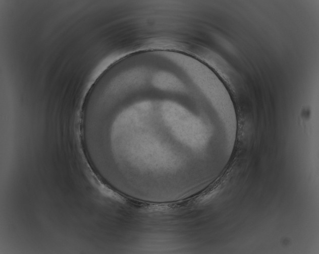 X0000095551094200801041326