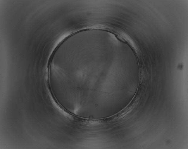 X0000095551095200801041326