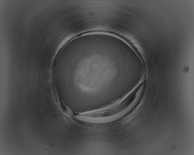 X0000095551097200801041325