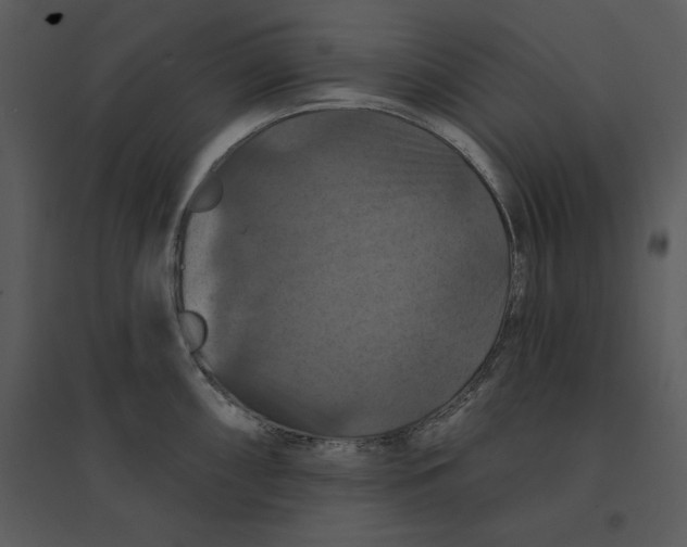 X0000095551098200801041325