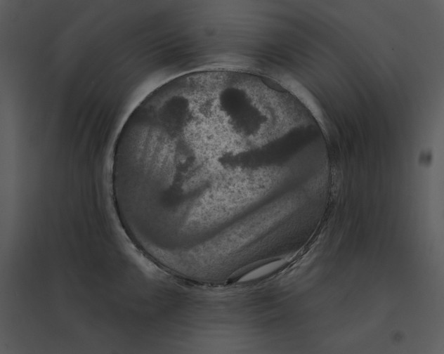 X0000095551099200801041325