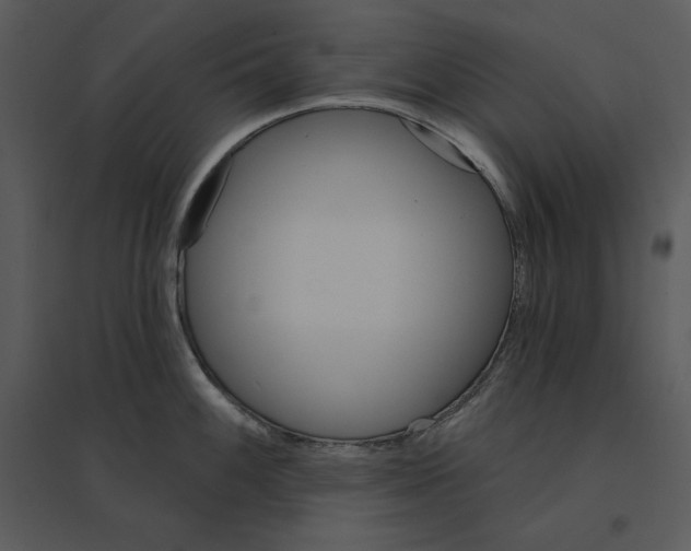 X0000095551100200801041325