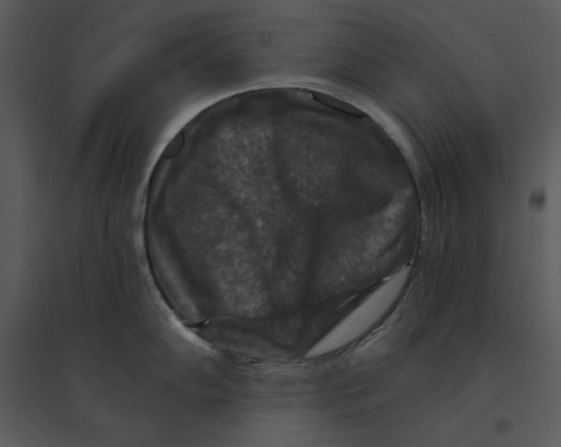 X0000095551102200801041325