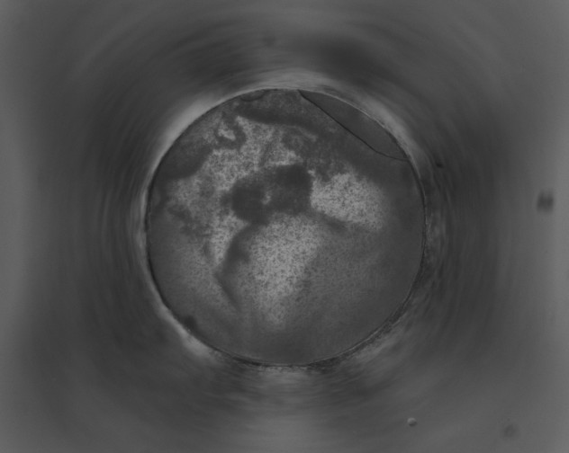 X0000095551103200801041325