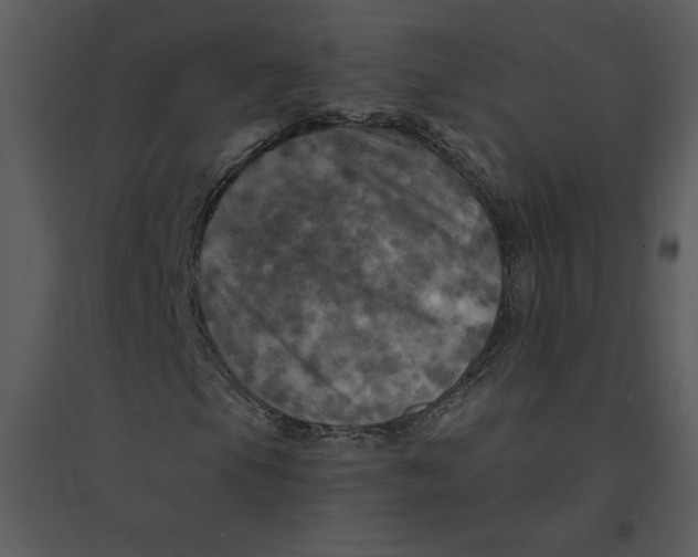 X0000095551105200801041325