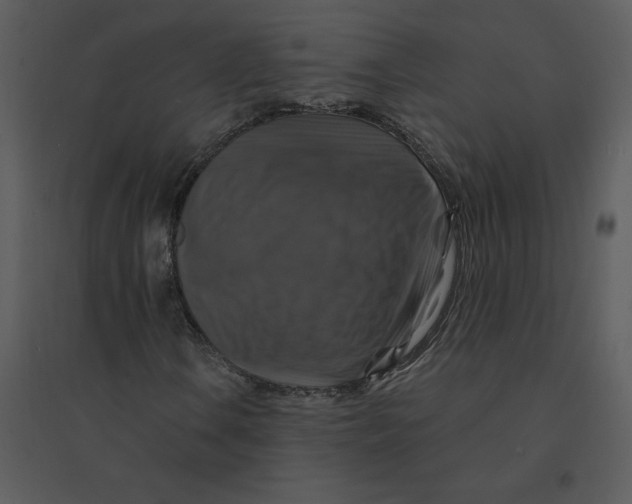 X0000095551106200801041325