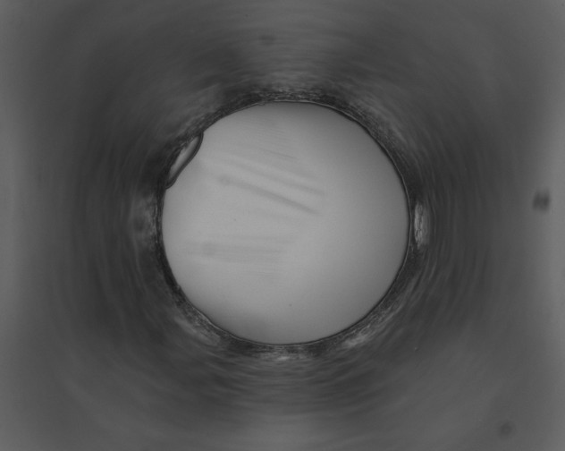 X0000095551107200801041325