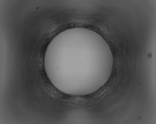 X0000095551109200801041325