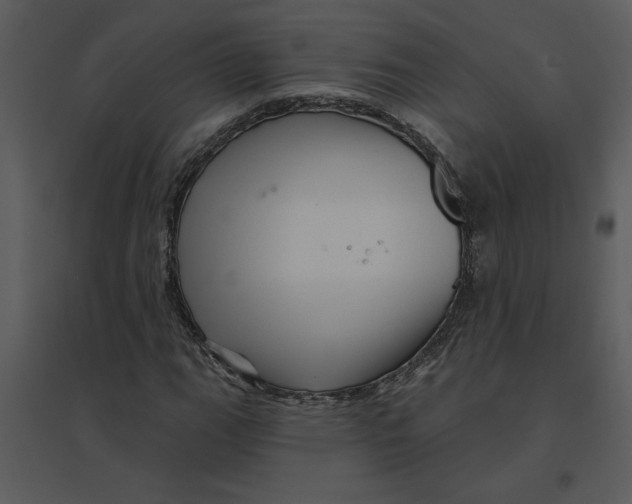 X0000095551111200801041325