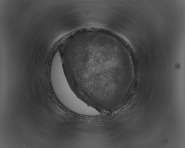 X0000095551112200801041325