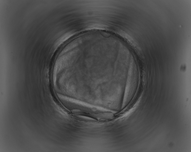 X0000095551113200801041325