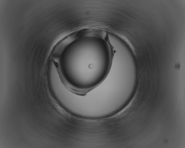 X0000095551114200801041325