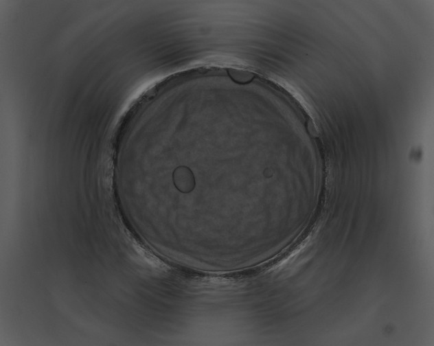 X0000095551115200801041325