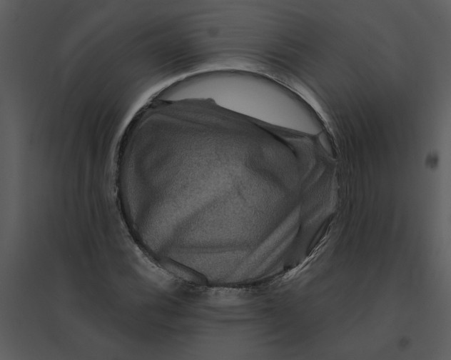 X0000095551116200801041325