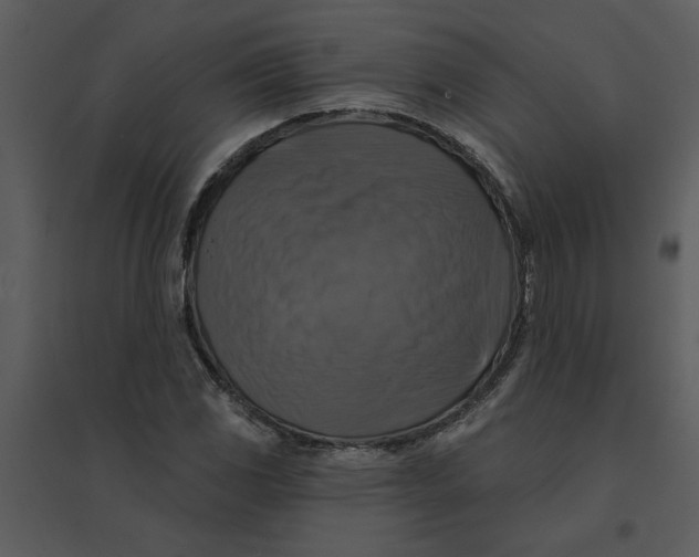 X0000095551117200801041325