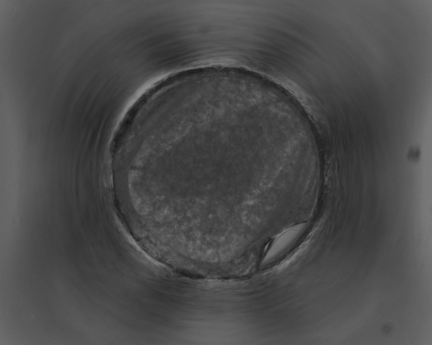 X0000095551118200801041325