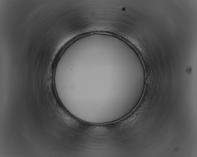 X0000095551119200801041325