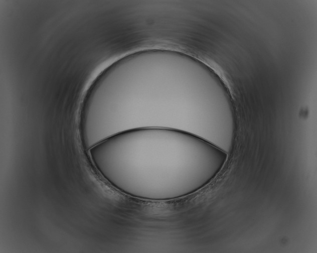 X0000095551120200801041325