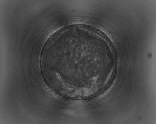 X0000095551121200801041325