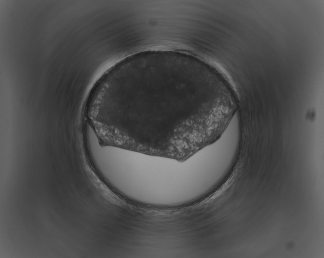 X0000095551122200801041325