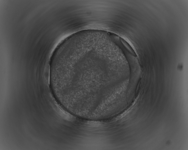 X0000095551123200801041325