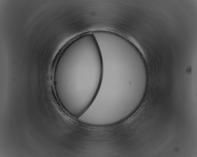 X0000095551124200801041325