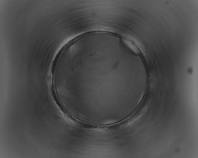 X0000095551125200801041325