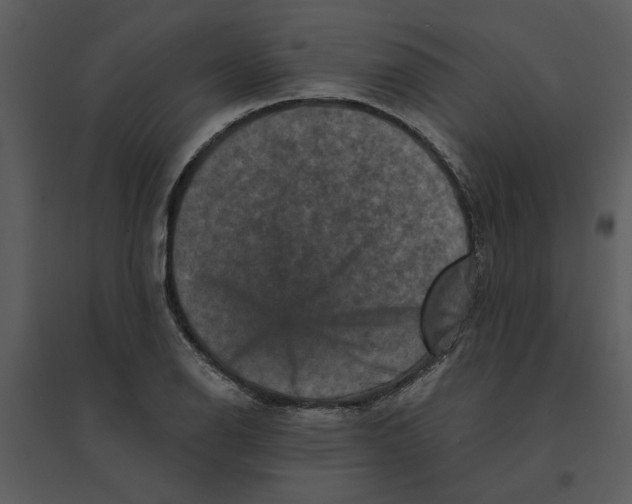 X0000095551126200801041325