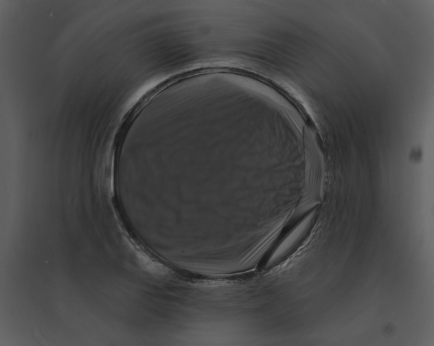 X0000095551127200801041325