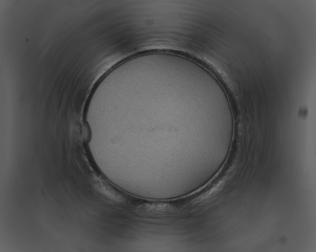 X0000095551129200801041325