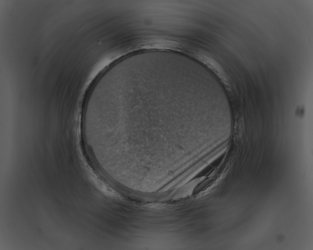 X0000095551130200801041325