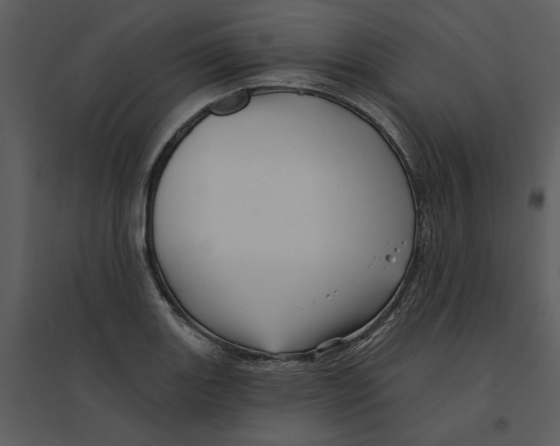 X0000095551131200801041325