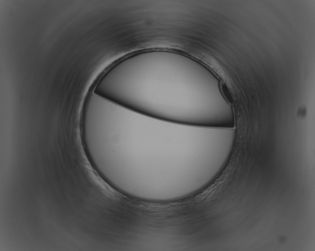 X0000095551132200801041325