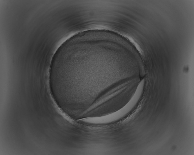 X0000095551134200801041325