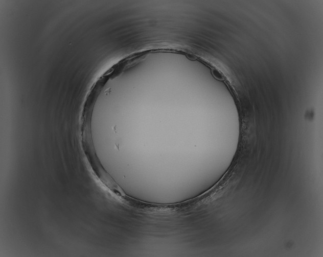 X0000095551135200801041325