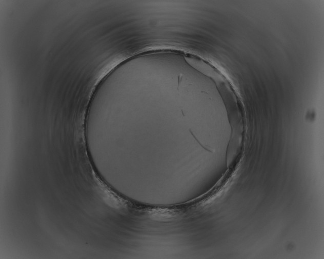 X0000095551137200801041325