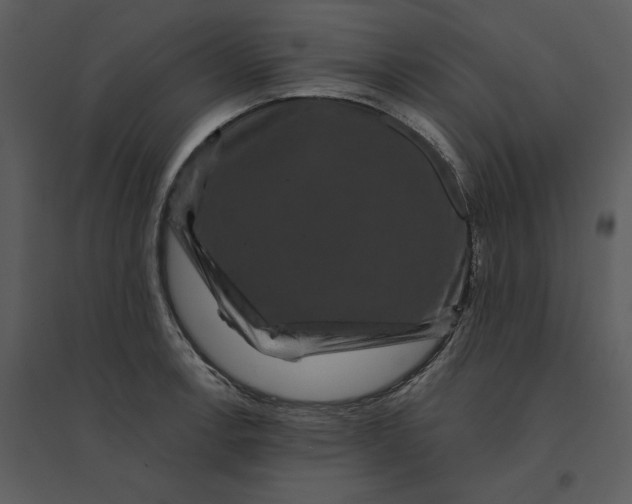 X0000095551138200801041325