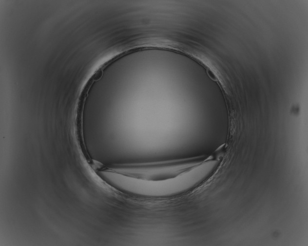 X0000095551139200801041325