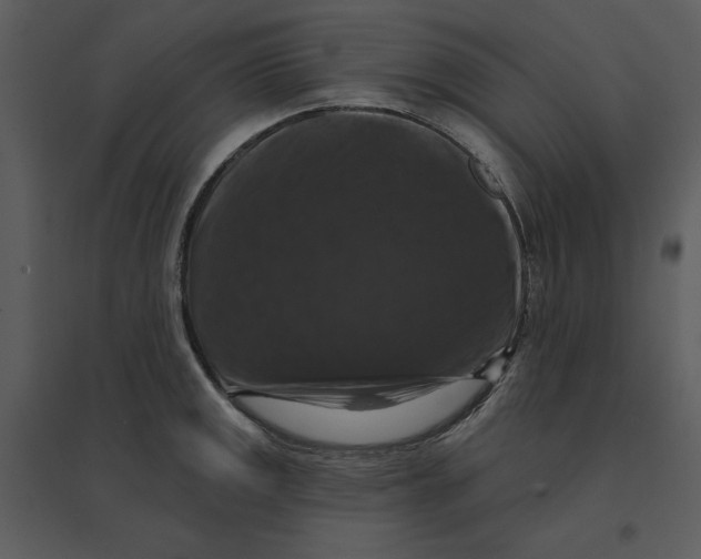 X0000095551141200801041325