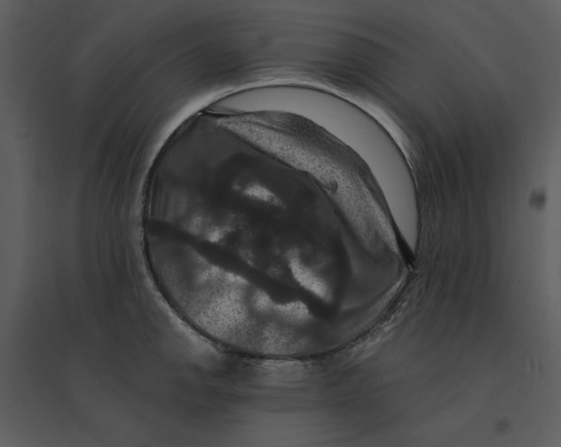 X0000095551142200801041325