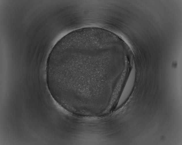 X0000095551143200801041325