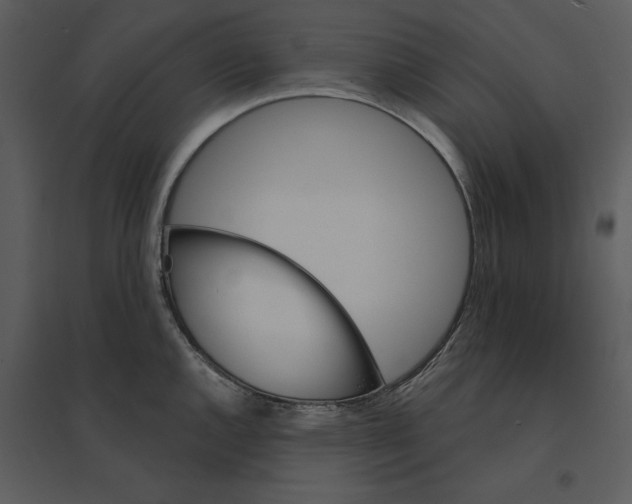 X0000095551144200801041325