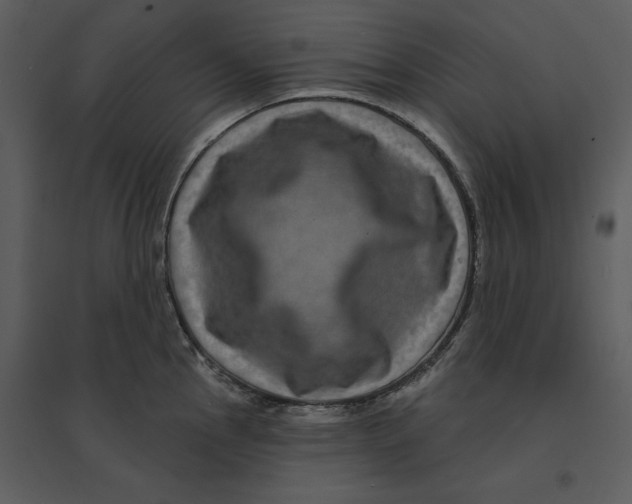 X0000095551145200801041325