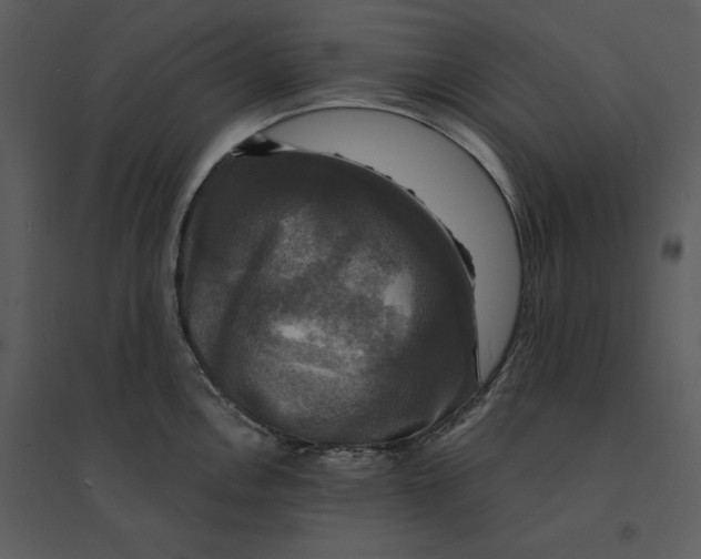 X0000095551146200801041325